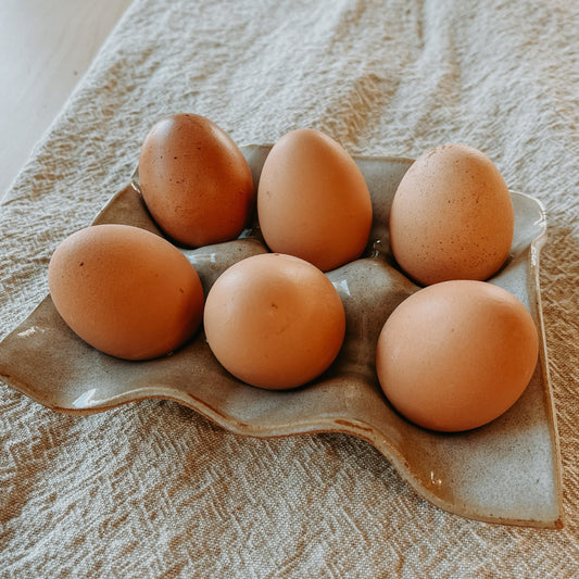 Egg Tray