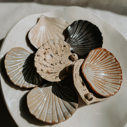 Small Shell Dish