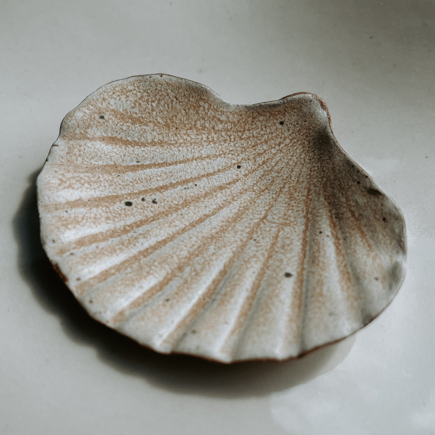 Small Shell Dish