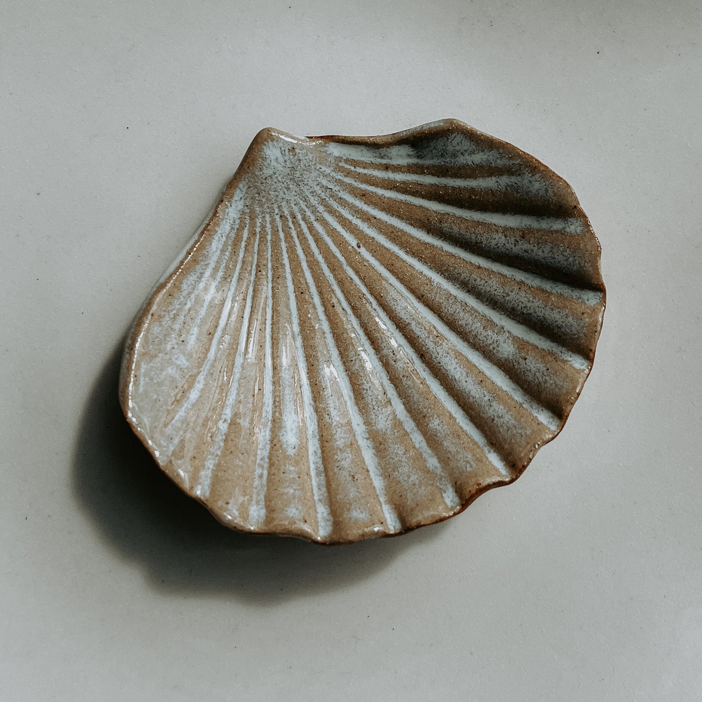 Small Shell Dish