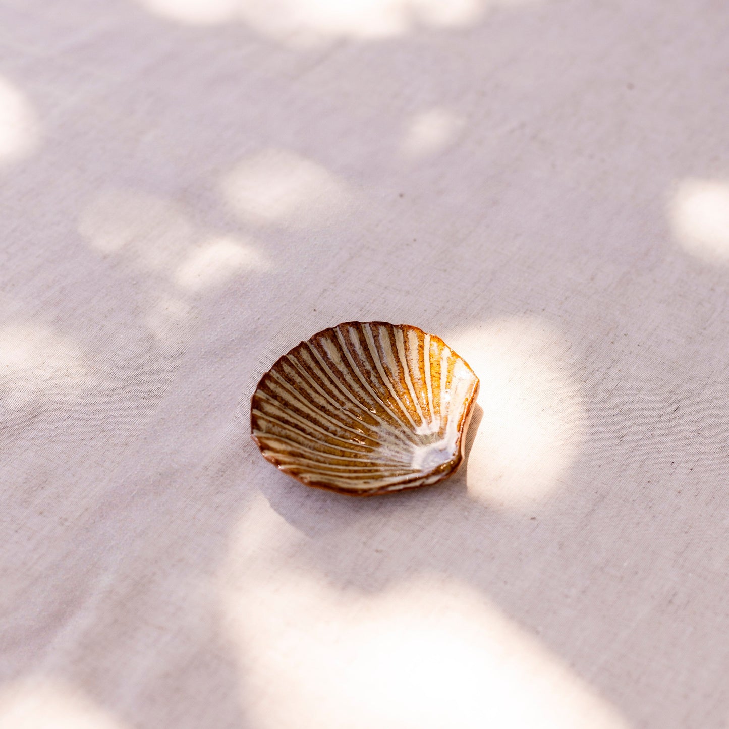 Small Shell Dish