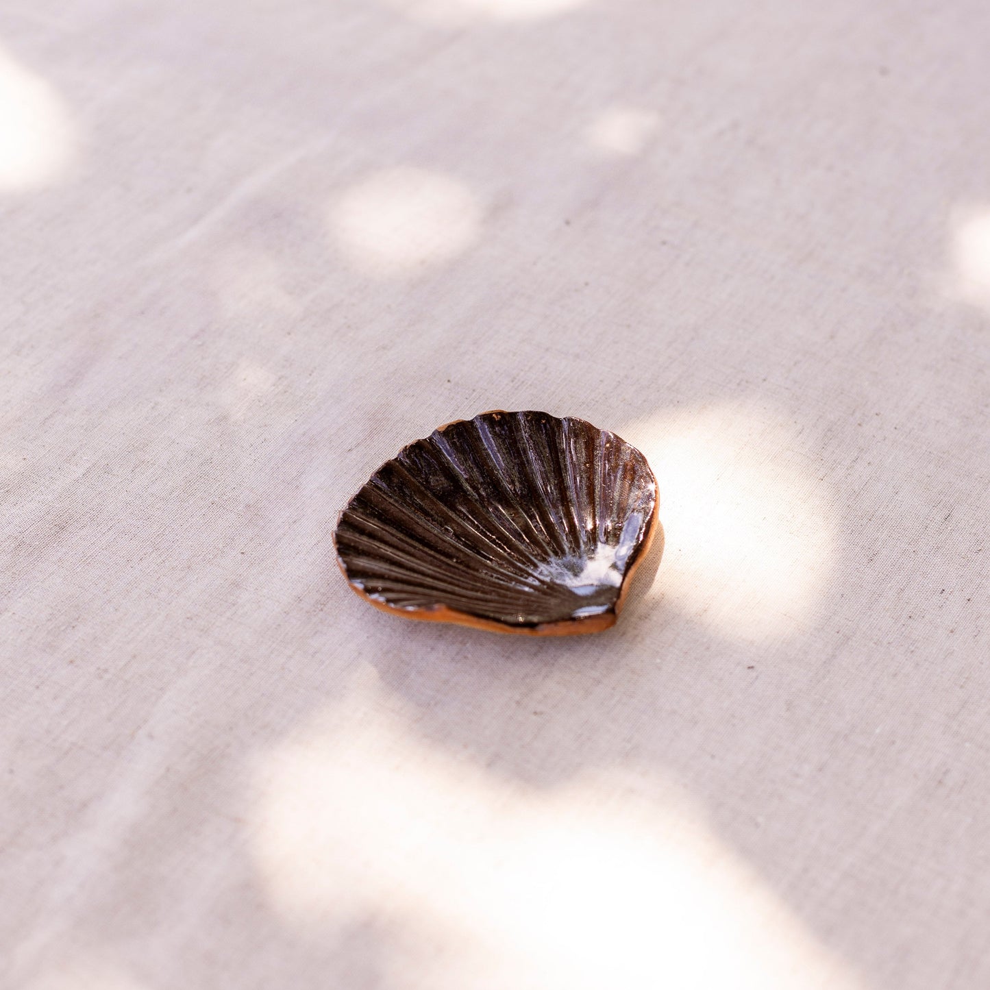 Small Shell Dish