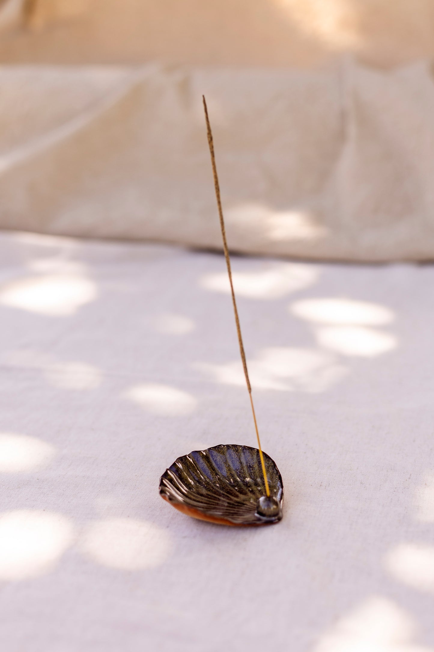 Shell Incense Holder