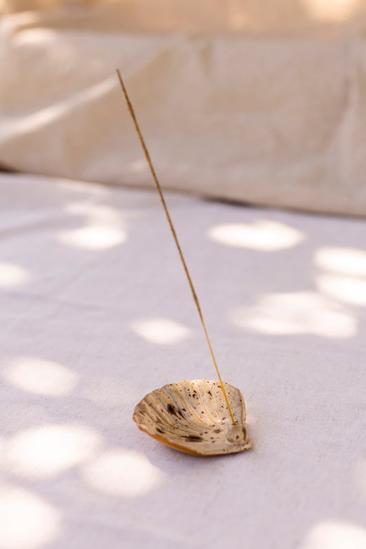 Shell Incense Holder